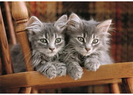 Clementoni Kittens 500 pieces - Jigsaw Puzzle