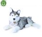 Rappa Eco-friendly Plush Lying Husky 50cm - Soft Toy
