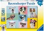 Ravensburger Puzzle 132881 Vicces kutyák 150 db - Puzzle