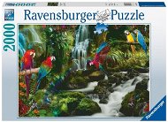 Ravensburger Puzzle 171118 Színes papagáj a dzsungelben 2000 db - Puzzle
