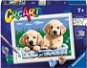 Ravensburger Creative & Art Toys 201884 CreArt Cute Puppies - Painting by Numbers
