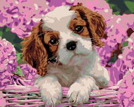 Diamondi - Diamond painting - PUPPY AND HORTENSION, 40x50 cm, Off canvas on frame - Diamond Painting