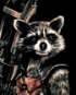 Diamondi - Diamond painting - ROCKET RACOON, 40x50 cm, without frame and without canvas shut off - Diamond Painting