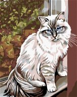 Diamondi - Diamond painting - WHITE CAT IN THE WINDOW, 40x50 cm, Off canvas on frame - Diamond Painting
