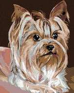 Diamondi - JORKSHIRE, 40x50 cm, off canvas on frame - Diamond Painting
