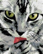 Diamondi - Diamond painting - FINE CAT, 40x50 cm, Off canvas on frame - Diamond Painting