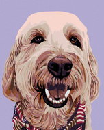Diamondi - DOG WITH A SHIRT, 40x50 cm, without frame and without canvas shut off - Diamond Painting