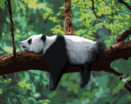 Diamondi - Diamond painting - PANDA LYING ON A TREE - Diamond Painting