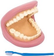 TickIt Giant teeth and toothbrush - Oral Hygiene Set