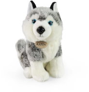 RAPPA Plush Husky Sitting 30 cm - Soft Toy