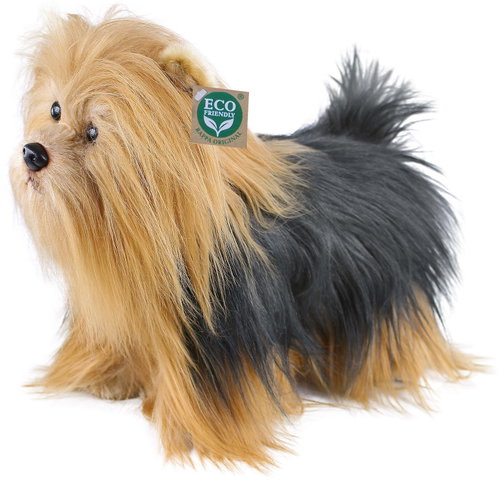Rappa Plush Standing Yorkshire Terrier 30 cm - Soft Toy - Main image