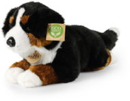 Rappa Plyšový pes bernský salašnický 34 cm, Eco-Friendly - Soft Toy