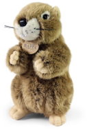 Rappa Plyšový svišť 23 cm, Eco-Friendly - Soft Toy