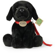 RAPPA Plush Labrador black with leash 28 cm, Eco-Friendly - Soft Toy