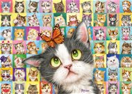 Schmidt Puzzle Kočičí výrazy 1000 dílků - Jigsaw