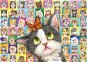 Schmidt Puzzle Kočičí výrazy 1000 dílků - Puzzle