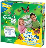 Kreativní sada Motýlí zahrádka 3-5 housenek Butterfly Garden - Kreativní sada