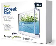 Super Forest Ant Ecoterrarium - Experiment Kit
