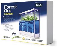Forest Ant LEDized Antquarium - Experimentálna súprava