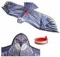 Kite ISO 8560 Large flying dragon Eagle 200×83cm - Létající drak