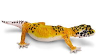 Safari Ltd. Figurine - Night Gecko - Figure