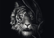 SCHMIDT Animal Features Puzzle - The Wildness of the Tiger: The Embodiment of Freedom 1000 pieces - Jigsaw Puzzle