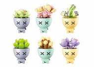 Sluban Pleyerid M38 – B1076 Succulents in pots – display 6 models - Building Set