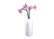 Sluban Pleyerid M38 - B1101 - 12 Butterfly orchid - Building Set