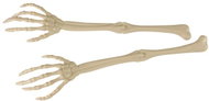 RAPPA Skeleton hand decoration, skeleton, Halloween, 36 cm, 2 pcs - Decoration