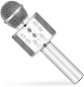 Gyerek mikrofon Eljet Globe Silver Karaoke Mikrofon - Dětský mikrofon