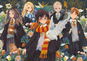 TREFL Puzzle Premium Plus Harry Potter 1000 dílků - Puzzle