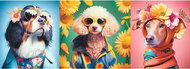 TREFL Panoramic Puzzle Dog Fashion Week 500 pieces - Jigsaw Puzzle