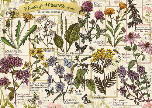 TREFL Herbarium Puzzle: Medicinal Herbs 500 pieces - Jigsaw Puzzle - Main image