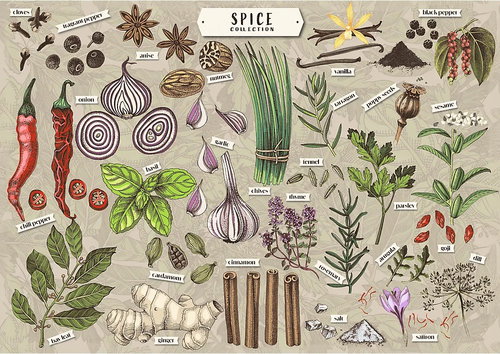 TREFL Puzzle Premium Plus Finders Keepers: Spices 500 pieces - Jigsaw Puzzle - Main image
