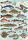 Fish 500 pieces
