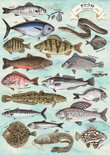 TREFL Puzzle Premium Plus Finders Keepers: Fish 500 pieces - Jigsaw Puzzle - Main image