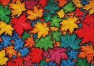 ART PUZZLE Puzzle coloured leaves 1000 pieces - Jigsaw Puzzle