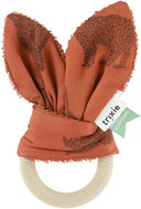 Trixie Bite Brave Bear - Baby Teether