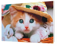 Vikpap Painting by numbers, canvas 30 × 20 cm - Kitten - Painting by Numbers