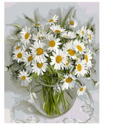 Vikpap Painting by numbers, canvas 30 × 40 cm - The magic of daisies - Painting by Numbers