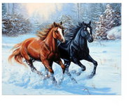 Vikpap Painting by numbers, canvas 40 × 30 cm - Wild winter ride - Painting by Numbers