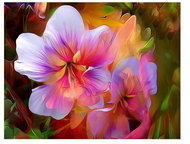 Vikpap Painting by numbers, canvas 40 × 30 cm - Magic flowers - Painting by Numbers