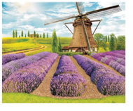 Vikpap Painting by numbers, canvas 40 × 30 cm - Provence mill - Painting by Numbers