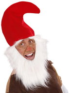 Widmann Dwarf hat with beard - Costume Accessory