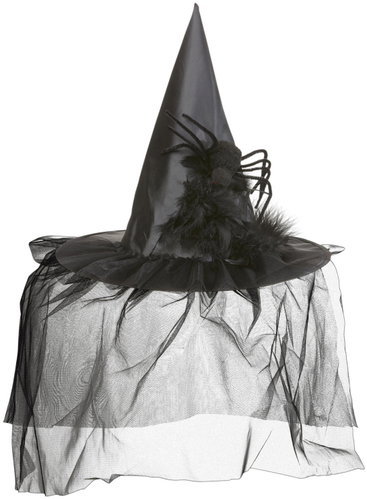 Widmann Witch hat with spider - Costume Accessory - Main image