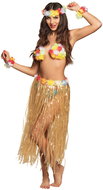 Boland Hawaiian set, skirt bra and wreath - Costume Accessory