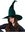 Emerald Green Witches Hat