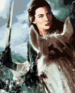 Zuty - Arwen on horseback (Lord of the Rings), 40×50 cm, without frame and without canvas shut off - Painting by Numbers