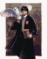 Zuty - Harry potter and the hedwig in the warts, 40×50 cm, without frame and without canvas shut off - Painting by Numbers