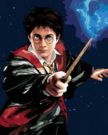 Zuty - Harry potter and the wand, 40×50 cm, without frame and without canvas shut off - Painting by Numbers